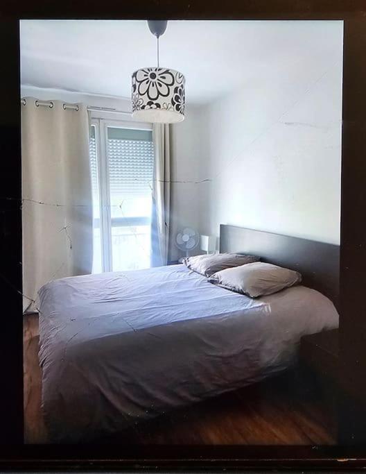 Chez Pascal Sissi -Grand Appart,Ile Nantes, Ccgres Eksteriør bilde